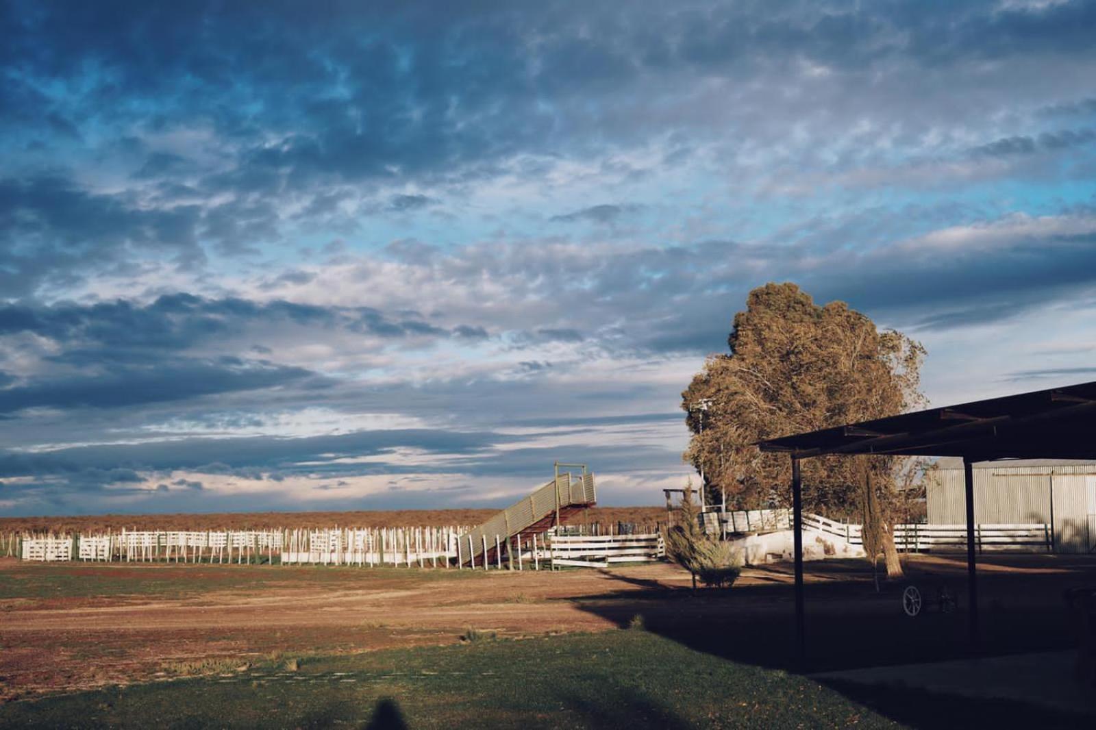 Estancia Tatay Trelew Extérieur photo